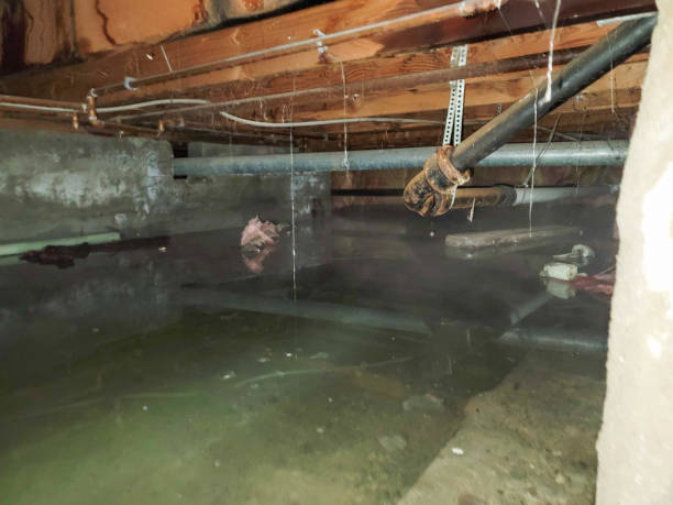Water damage restoration experts in St Ignace, MI