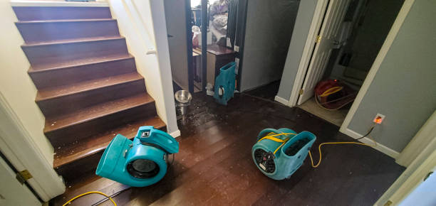 Best Ceiling water damage repair  in St Ignace, MI