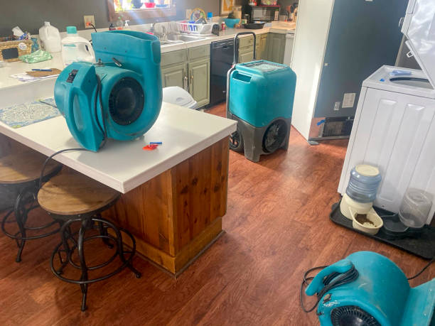 Best Carpet water damage restoration  in St Ignace, MI
