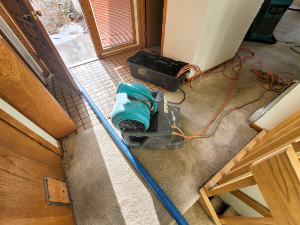 Best Water damage restoration near me  in St Ignace, MI