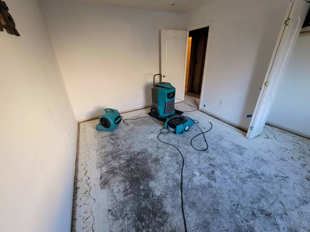 Professional Water damage restoration in St Ignace, MI