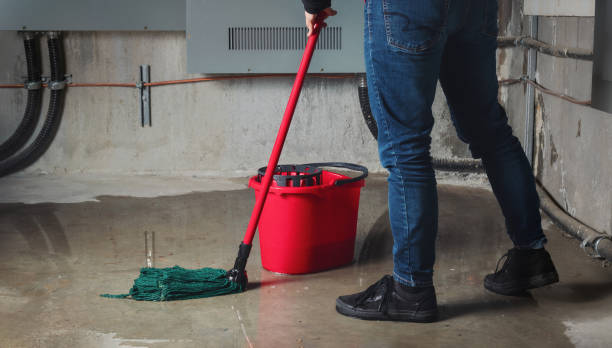 Best Sewage cleanup and water damage restoration  in St Ignace, MI