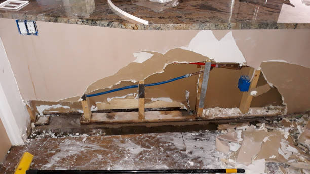 Best Fire Damage Restoration  in St Ignace, MI