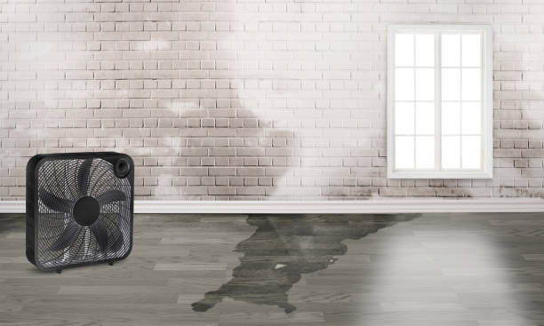  St Ignace, MI Water damage restoration Pros