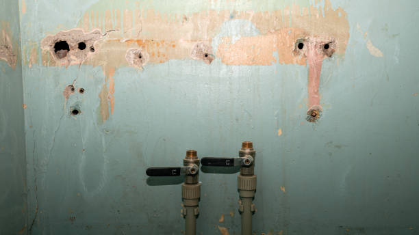 Best Ceiling water damage repair  in St Ignace, MI