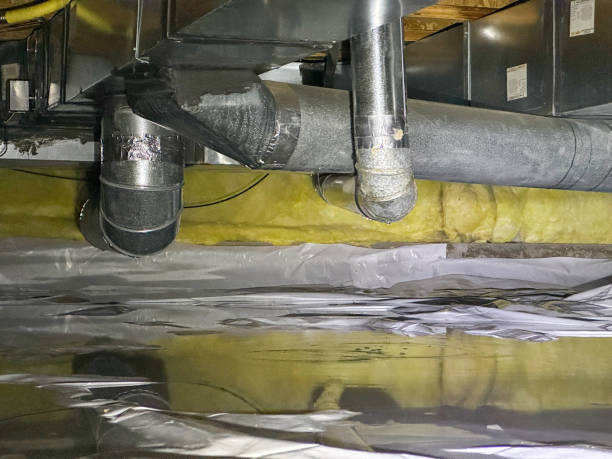 Best Local water damage restoration  in St Ignace, MI