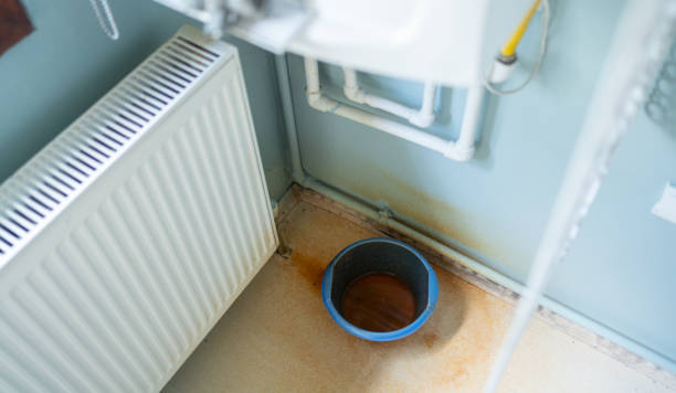 Best Flood damage cleanup  in St Ignace, MI
