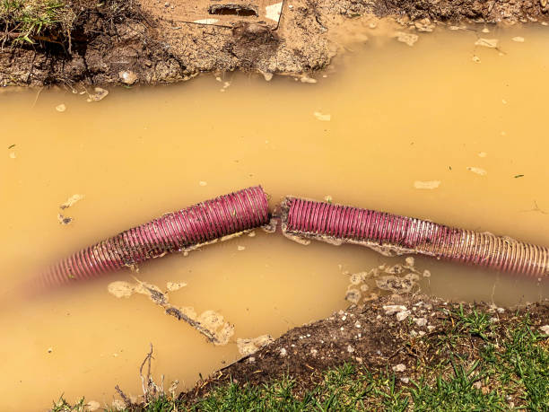Carpet water damage restoration in St Ignace, MI