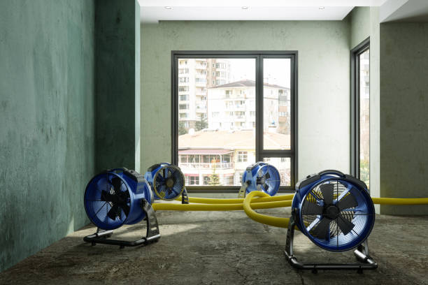 Best Carpet water damage restoration  in St Ignace, MI