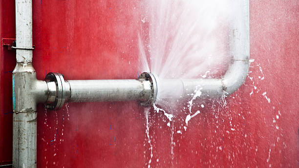 Best Mold removal after water damage  in St Ignace, MI