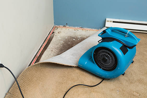 Best Emergency water damage restoration  in St Ignace, MI